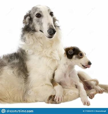 聯(lián)盟契約(手?jǐn)]無(wú)限代幣)加盟費(fèi)的成功案例分享