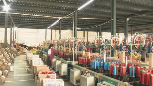 惠民繩網產業提檔升級,每年開發20個系列200多種規格的產品