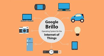 來看看高大上的brillo物聯(lián)網操作系統(tǒng)