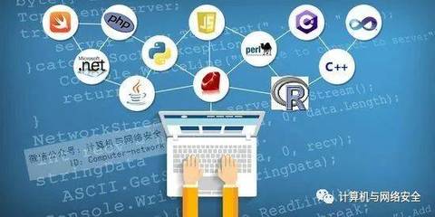 開發(fā)數(shù)據(jù)分析工具用哪種編程語(yǔ)言更好?